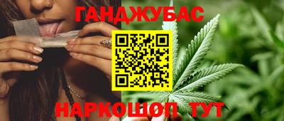 гидра Рязань