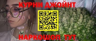 гидра Рязань