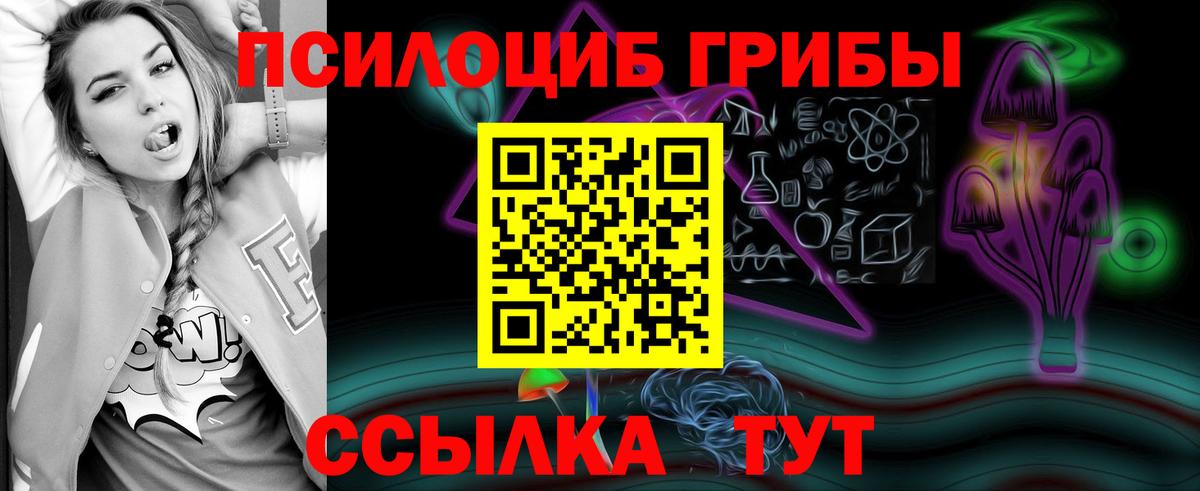 магазин продажи   Галлюциногенные грибы Psilocybine cubensis  Вход с VPN  Скопин 