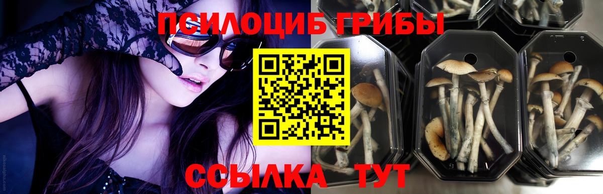 Псилоцибиновые грибы MAGIC MUSHROOMS Скопин